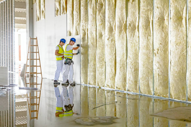 Best Commercial Insulation in Port Hueneme, CA